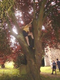 Monkeying around!